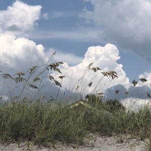 Meet your Posher, Marjorie